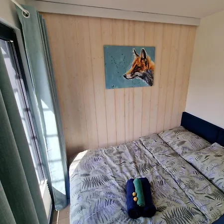 Lisi Ogon Zanurzeni W Naturze Esterno foto