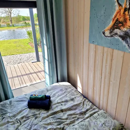 Lisi Ogon Zanurzeni W Naturze Esterno foto